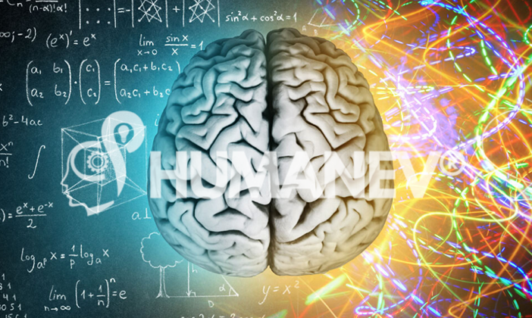 Dall'azienda alla neuro, col Neuromanagement | Humanev®